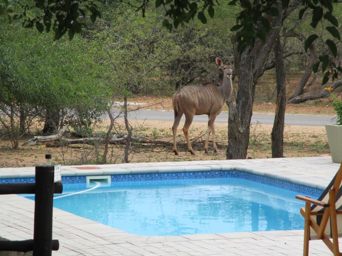 Woodpecker Lodge B&B Hoedspruit Esterno foto