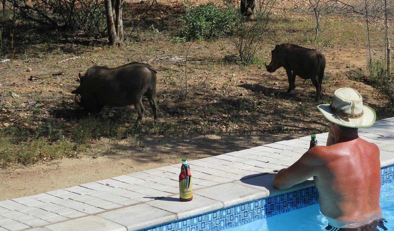 Woodpecker Lodge B&B Hoedspruit Esterno foto